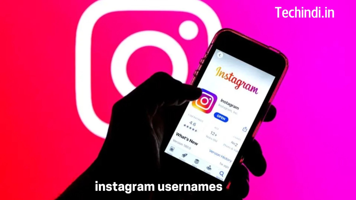 instagram usernames