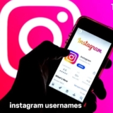 instagram usernames